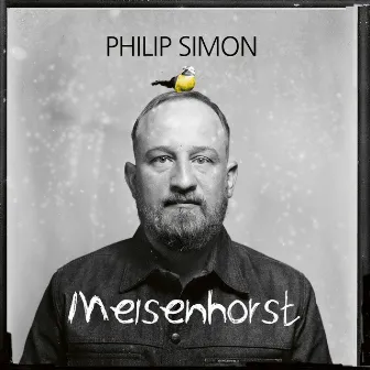 Meisenhorst (Live) by Philip Simon