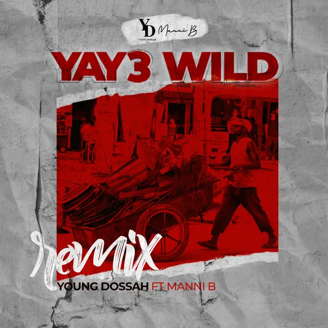 Yay3 Wild - Remix