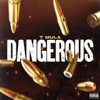 Dangerous by T Mula