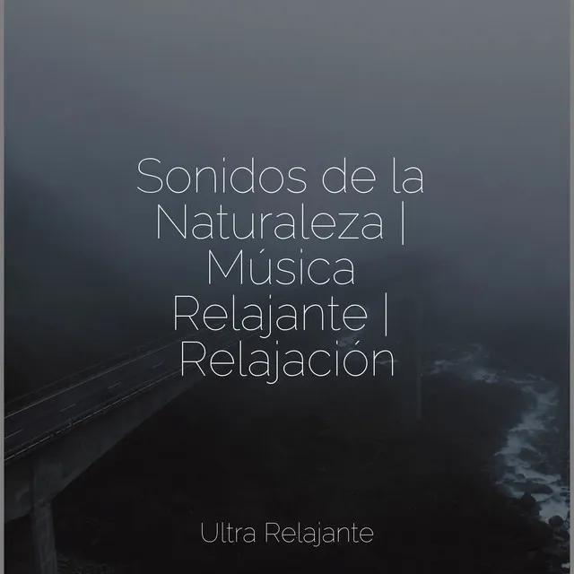 Sonidos de la Naturaleza | Música Relajante | Relajación