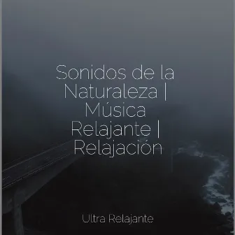 Sonidos de la Naturaleza | Música Relajante | Relajación by Musica Para Dormir Profundamente