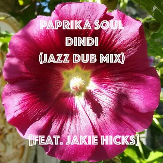 Dindi (Jazz Dub Mix) by Paprika Soul