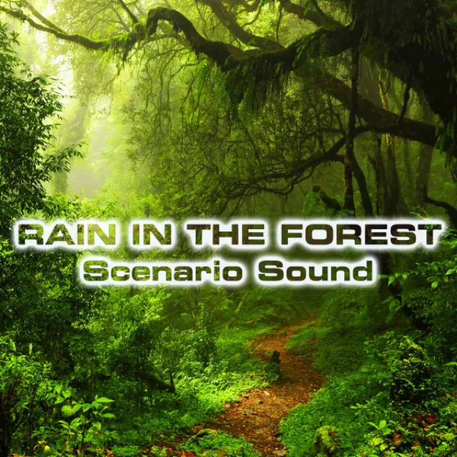 Rain in the Forest Scenario Sound