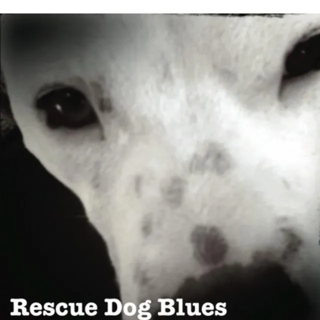 Rescue Dog Blues