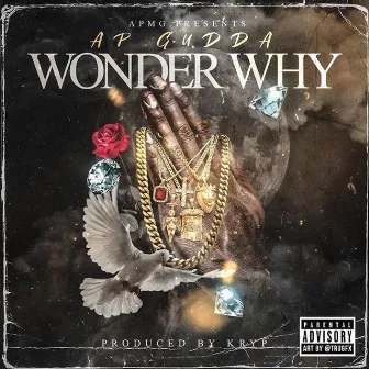 Wonder Why by Ap Gudda