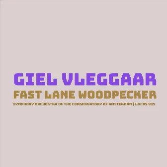 Giel Vleggaar: Fast Lane Woodpecker by 