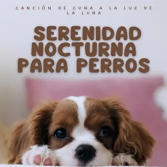 Canción De Cuna A La Luz De La Luna: Serenidad Nocturna Para Perros by Musica para Perros Momentos