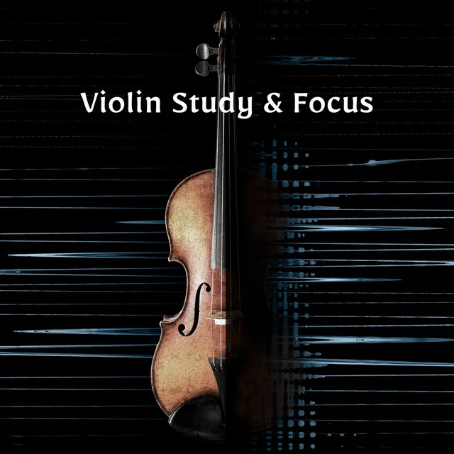 Violin Study & Focus