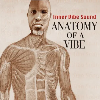 Anatomy of a Vibe by Inner Vibe Sound