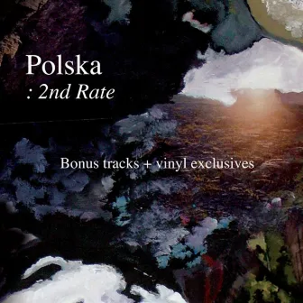 2nd Rate (Bonus Tracks & Vinyl Exclusives) by Polska