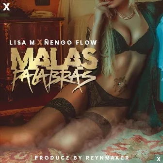 Malas Palabras by Lisa M