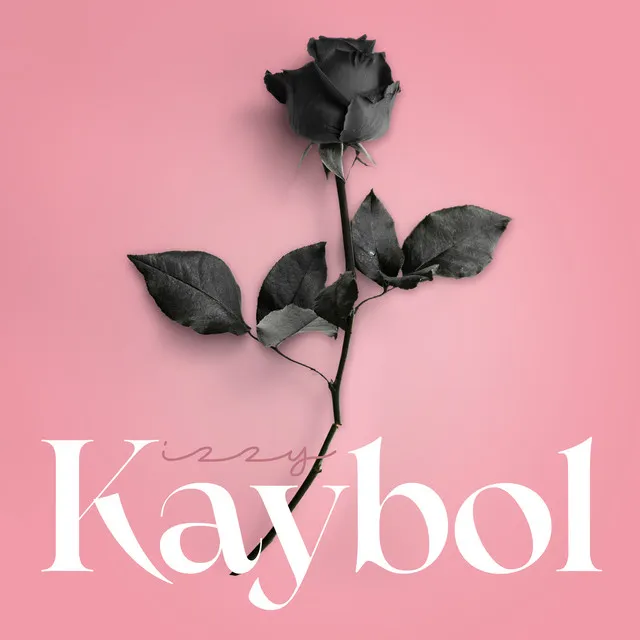 Kaybol