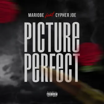 Picture Perfect by Mariobe