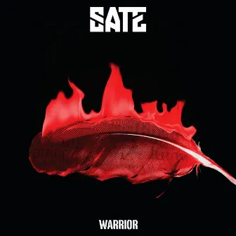 Warrior (Clean Version) by SATE