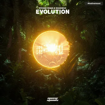 Evolution by Soundeux