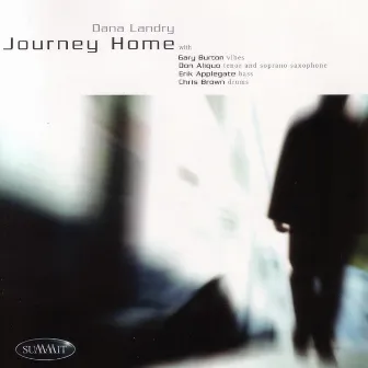 Journey Home by Dana Landry