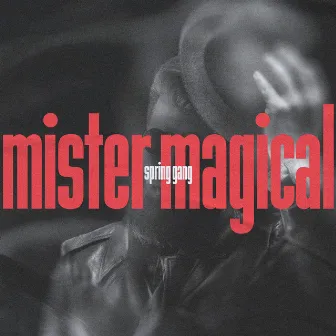 Mister Magical by spring gang