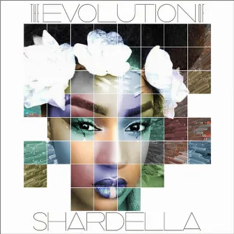 The Evolution of Shardella by Shardella Sessions