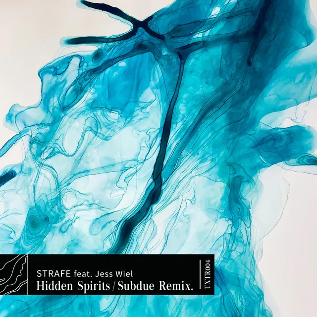 Hidden Spirits - Subdue Remix