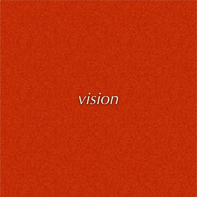 Vision