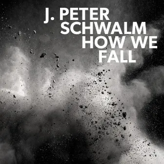 How We Fall by J.Peter Schwalm