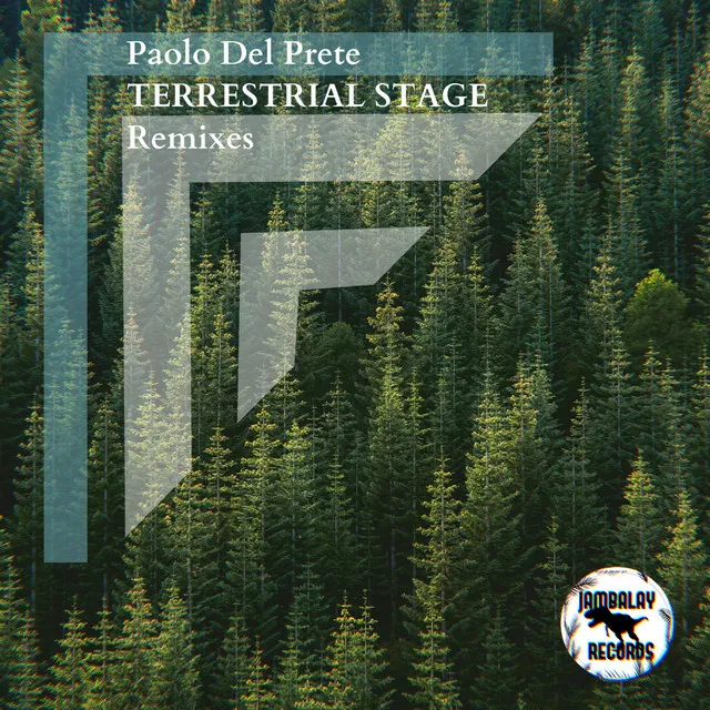 Terrestrial Stage - Pierdavide Lagana' Remix