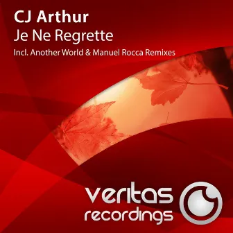 Je Ne Regrette by CJ Arthur