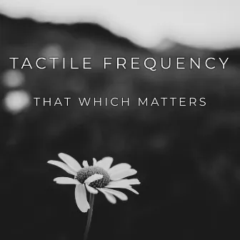 That which matters by Tactile Frequency