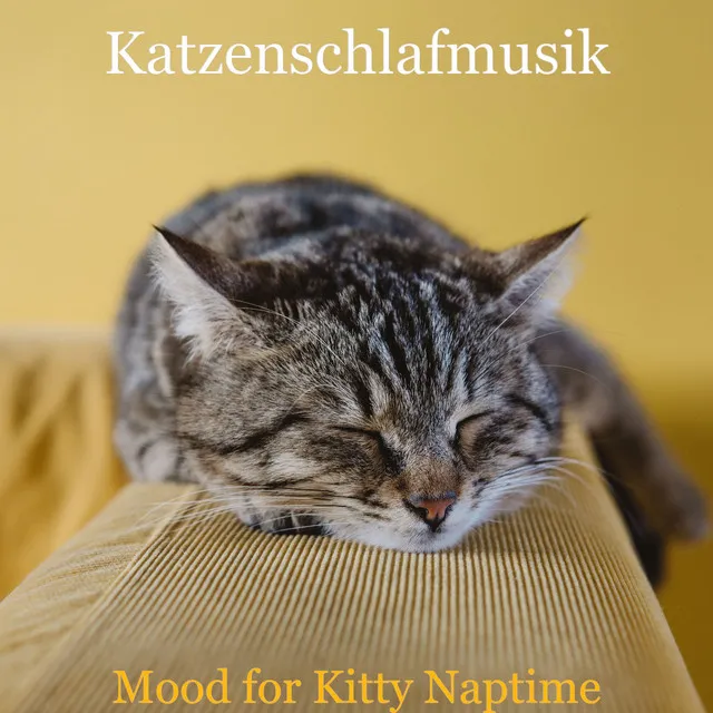 Mood for Kitty Naptime