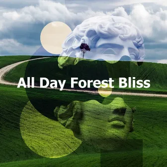 All Day Forest Bliss by HD Nature Sound Library