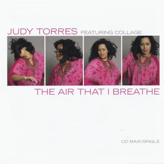 The Air That I Breathe by Judy Torres