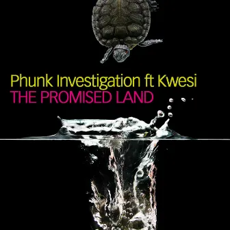 The Promised Land by Kwesi