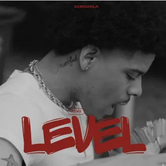 Level by 519guala