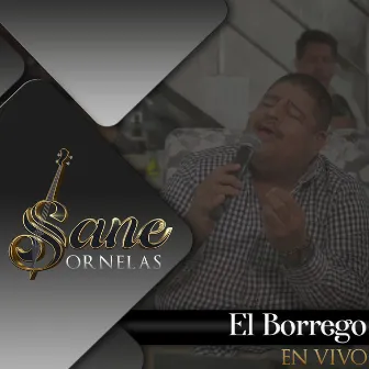 El Borrego (En Vivo) by Sane Ornelas