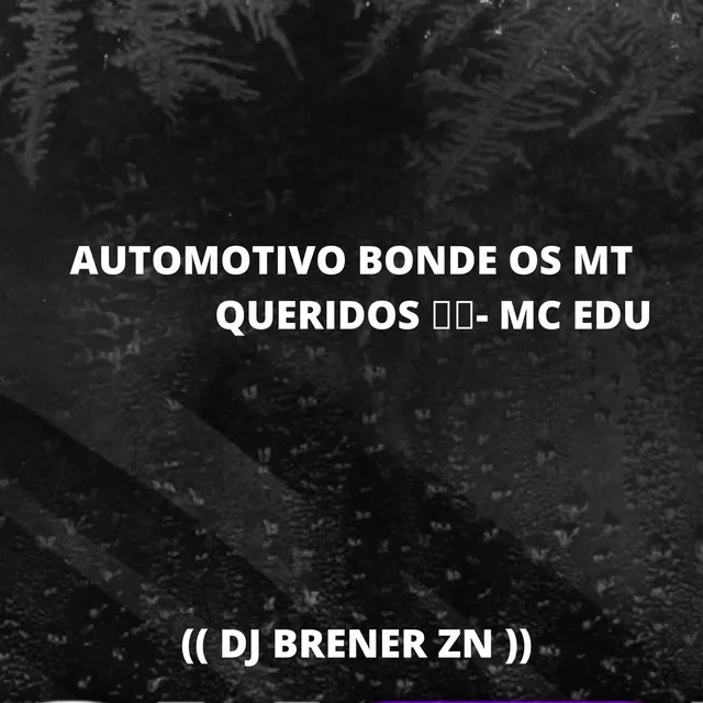 AUTOMOTIVO BONDE OS MT QUERIDOS