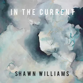 In the Current (Extended Version) by Shawn Williams