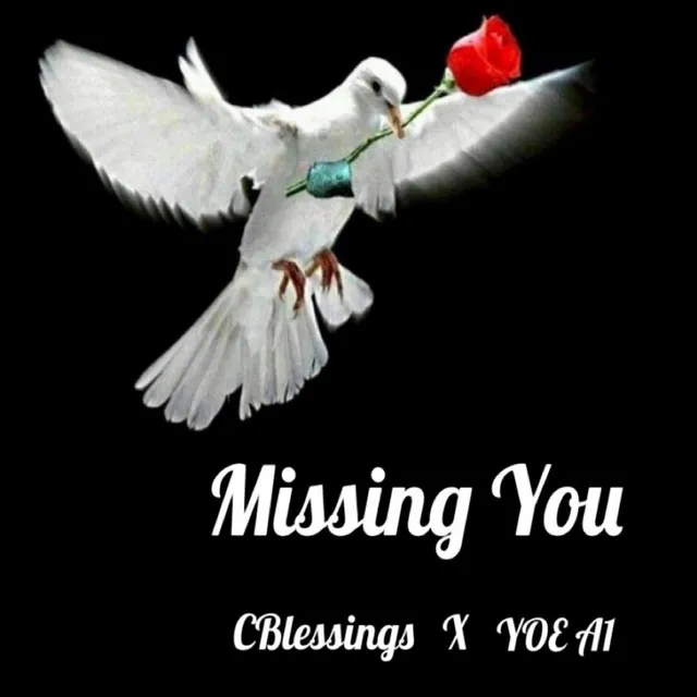 Missing You