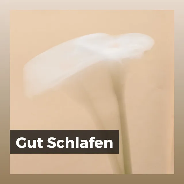 Gut Schlafen