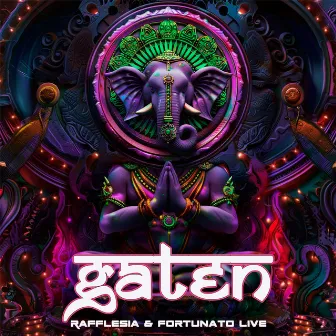 Gaten by Fortunato Live