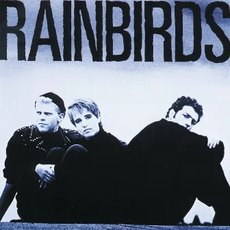 Rainbirds by Rainbirds