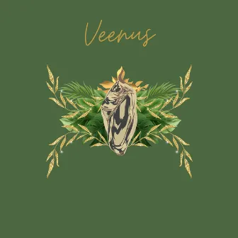 FIRST IMPRESSIONS by Veenus