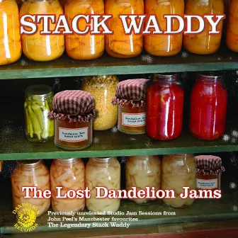 The Lost Dandelion Jams by Stack Waddy