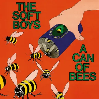 A Can of Bees by The Soft Boys