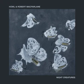 Night Creatures by Robert Macfarlane