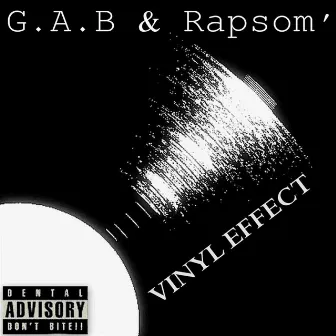 Vinyl Effect by Rapsom'