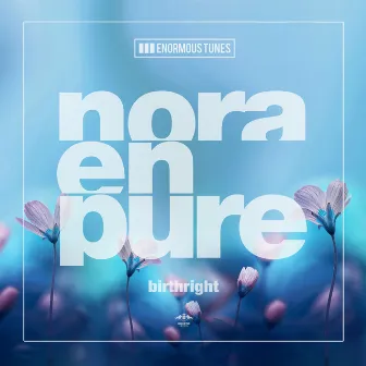 Birthright by Nora En Pure