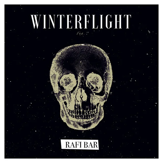 Winterflight