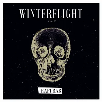 Winterflight by Rafi Bar