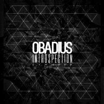 Introspection by Obadius