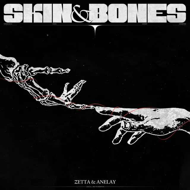 SKIN&BONES